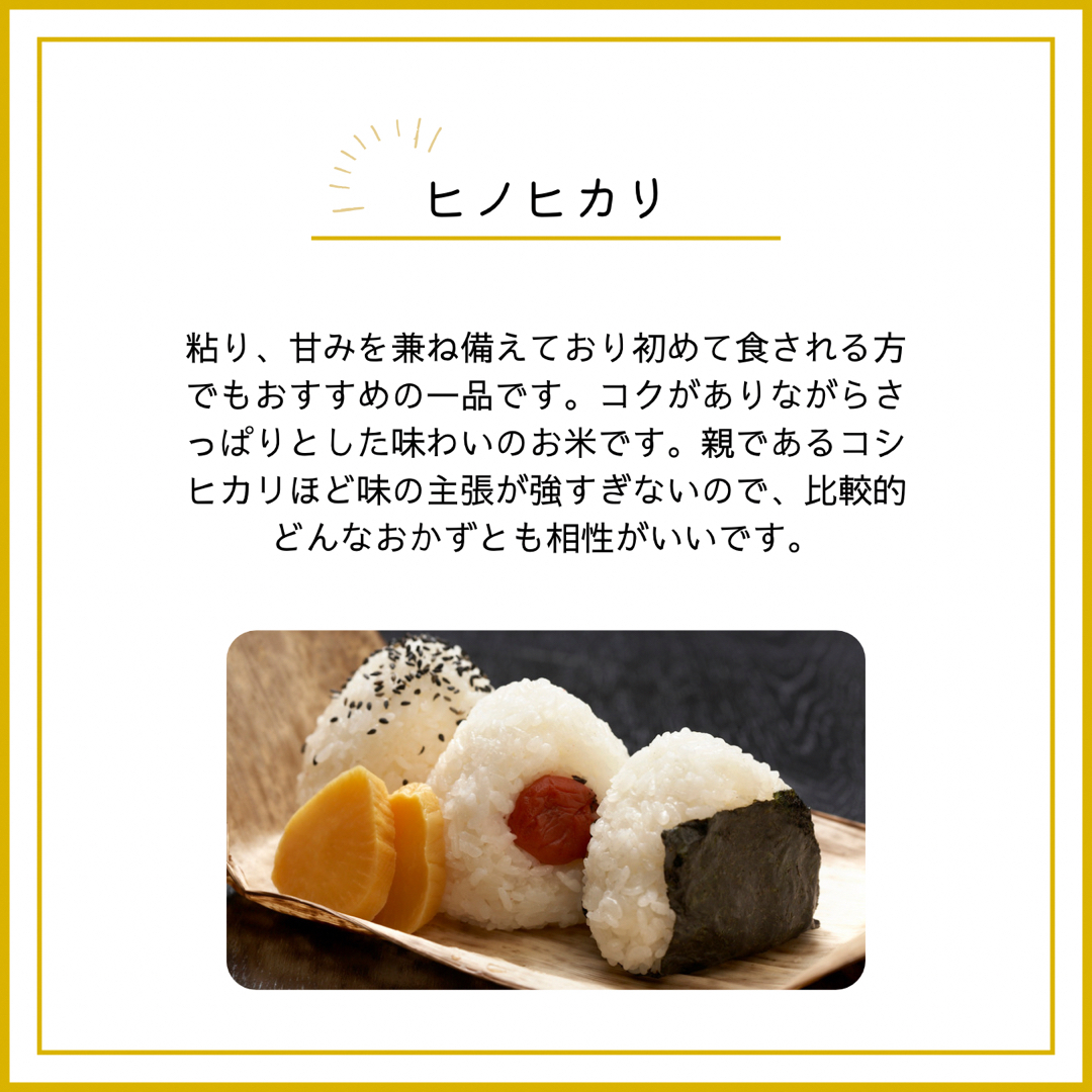 ヒノヒカリ玄米20kg 厳選米 福岡県産 美味しい お米 安い 健康食 ヒノヒカリ玄米20kg 厳選米 福岡県産 美味しい お米 安い 健康食