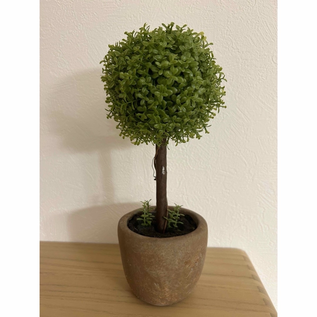 【新品未使用品】光触媒　観葉植物　人工観葉植物　フェイク　グリーン　ミニ　卓上 インテリア/住まい/日用品のインテリア小物(置物)の商品写真