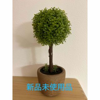 【新品未使用品】光触媒　観葉植物　人工観葉植物　フェイク　グリーン　ミニ　卓上(置物)