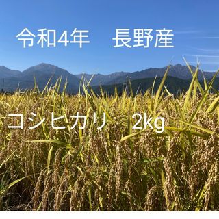 令和4年コシヒカリ　梱包込み2kg(米/穀物)