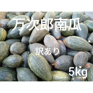 万次郎かぼちゃ　訳あり　５kg　３〜４玉　1(野菜)