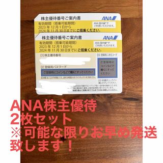 エーエヌエー(ゼンニッポンクウユ)(ANA(全日本空輸))のANA株主優待券2枚セット(その他)