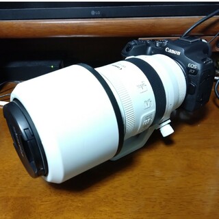キヤノン(Canon)のEOS R7＋RF100-500mm F4.5-7.1 L IS USM(ミラーレス一眼)