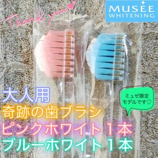 【新品】奇跡の歯ブラシ 大人用 ピンク&ブルーホワイト ミュゼ 〔2本セット〕(歯ブラシ/デンタルフロス)