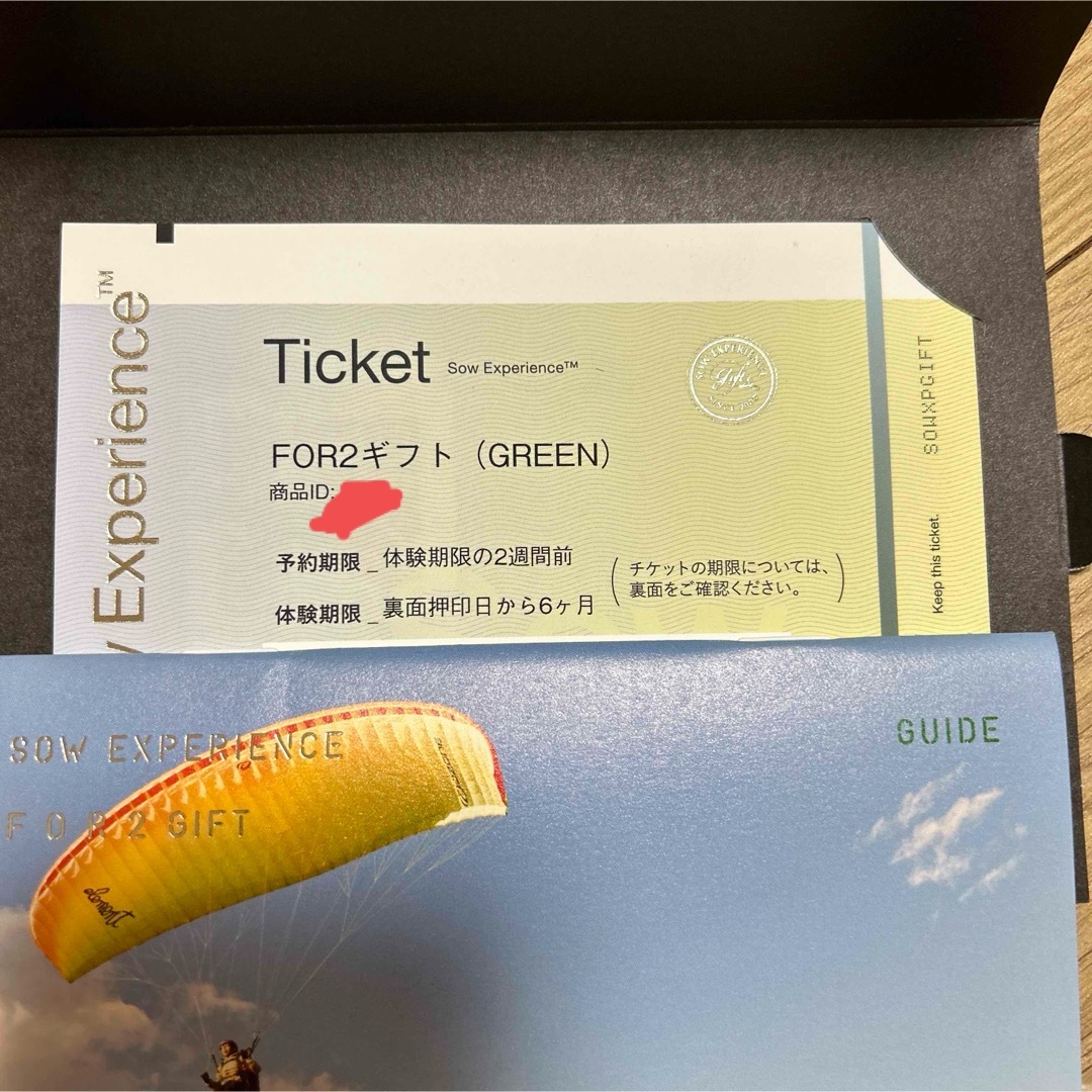 SOW EXPERIENCE FOR2 GIFT （ GREEN ） チケットのチケット その他(その他)の商品写真