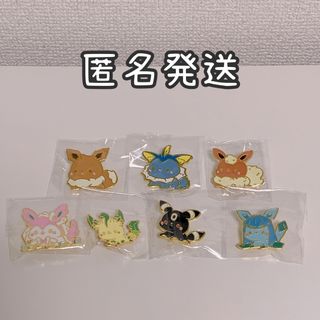 ポケモン　Pokémon　イーブイ　進化　ブイズ　ピンバッジ(キャラクターグッズ)