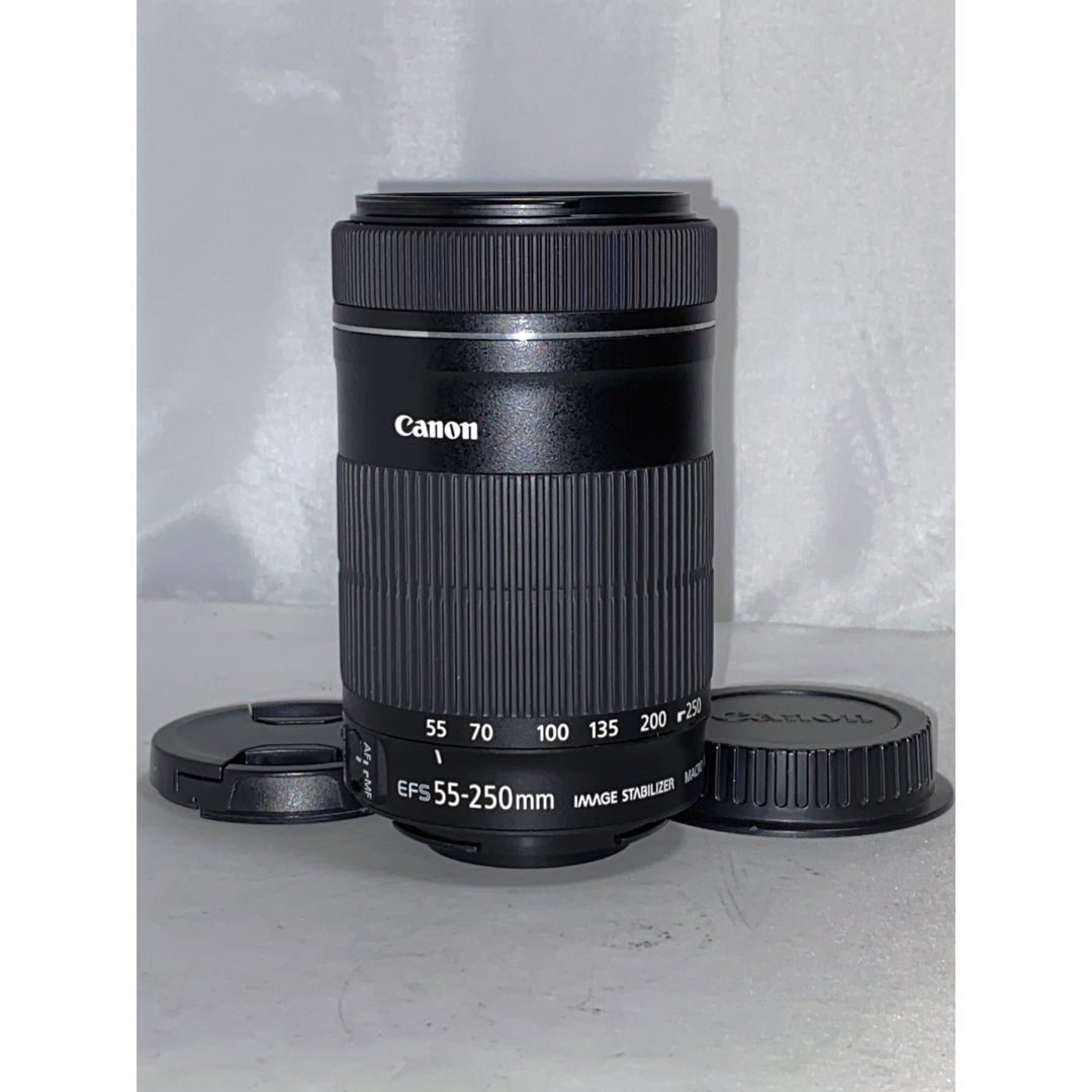 SONYCanon EF-S 55-250mm f4-5.6 IS STM 望遠レンズ