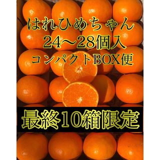 愛媛県産 ミカン 訳あり はれひめちゃん コンパクトBOX発送 柑橘 果物みかん(フルーツ)