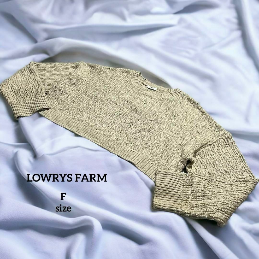 LOWRYS FARM(ローリーズファーム)の【美品】 ローリーズファーム 総柄 クロップドニット レディースのトップス(ニット/セーター)の商品写真