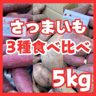 さつまいも3種５kg(野菜)