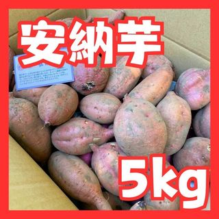 さつまいも安納芋５kg(野菜)