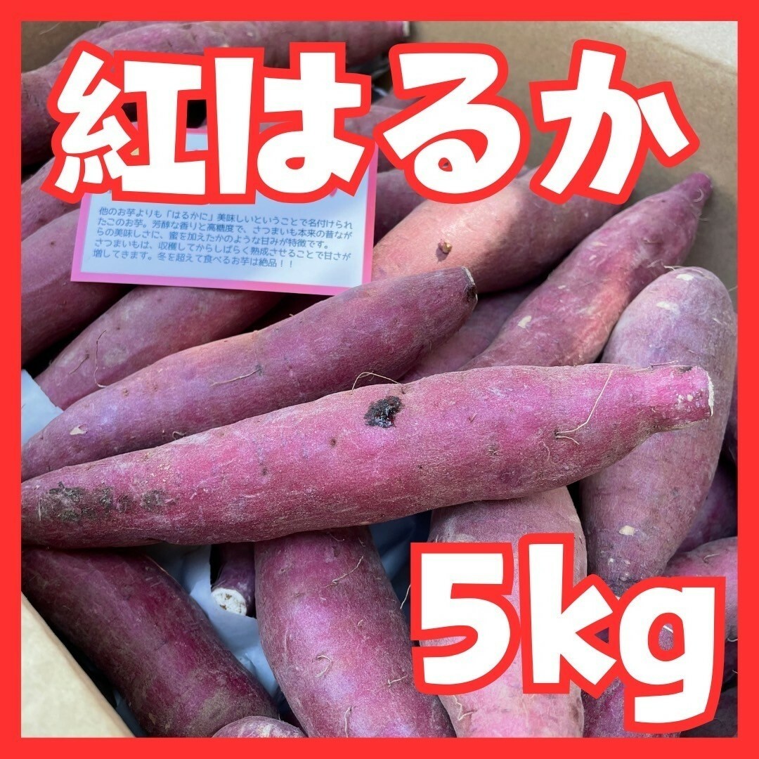 さつまいも紅はるか５kg 食品/飲料/酒の食品(野菜)の商品写真