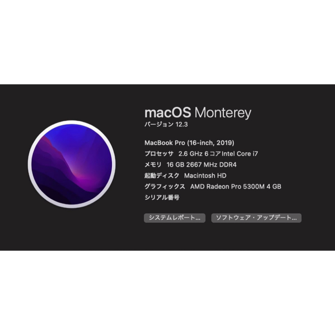 Apple(アップル)のMacBook Pro 16インチ 2019年式 スマホ/家電/カメラのPC/タブレット(ノートPC)の商品写真