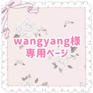 wangyang様専用ページ(アイドルグッズ)