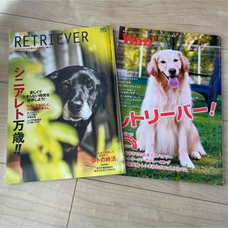 レトリーバー WAN 雑誌 retriever シニアレト(その他)