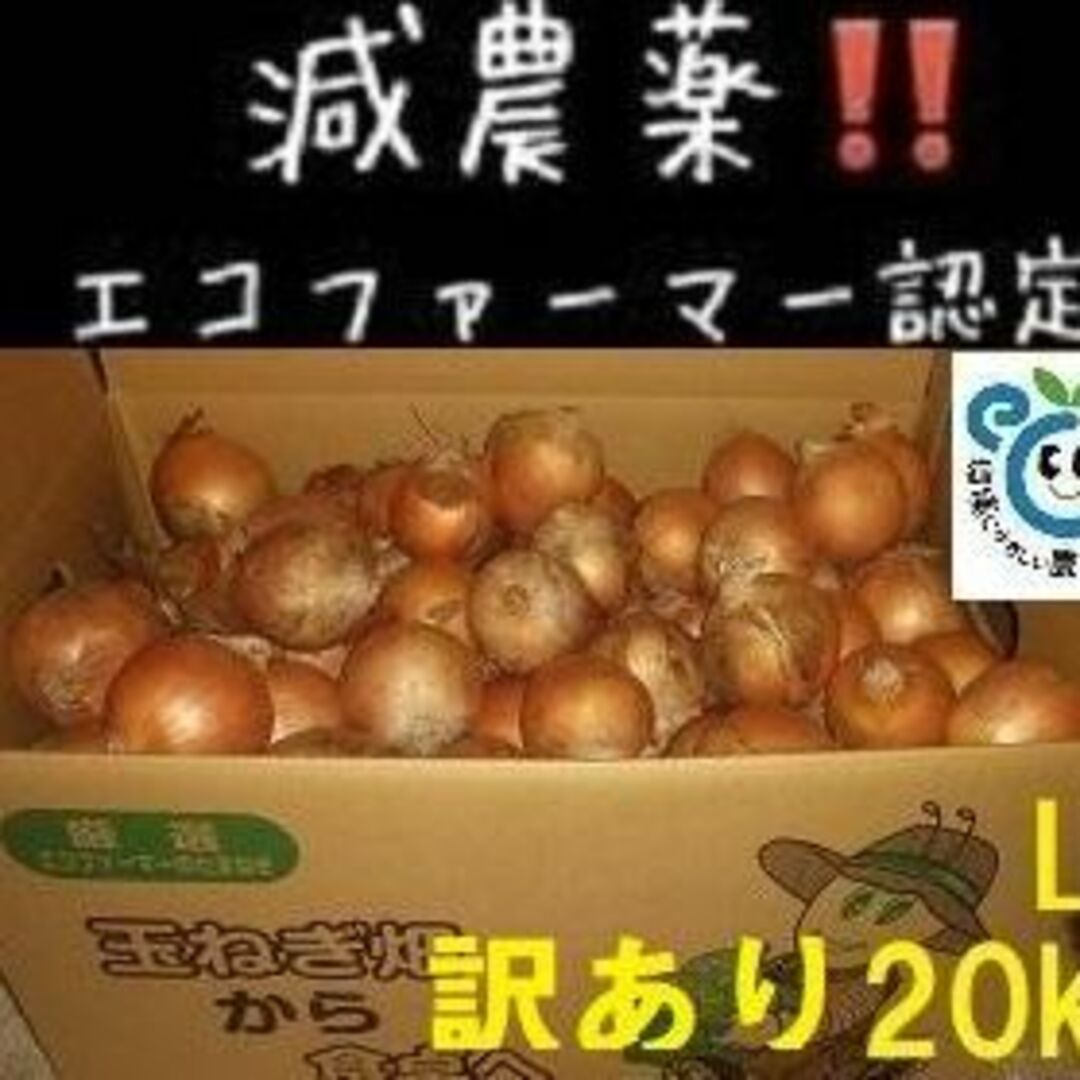 訳あり北海道産 玉ねぎ L･L大込 20kg 食品/飲料/酒の食品(野菜)の商品写真