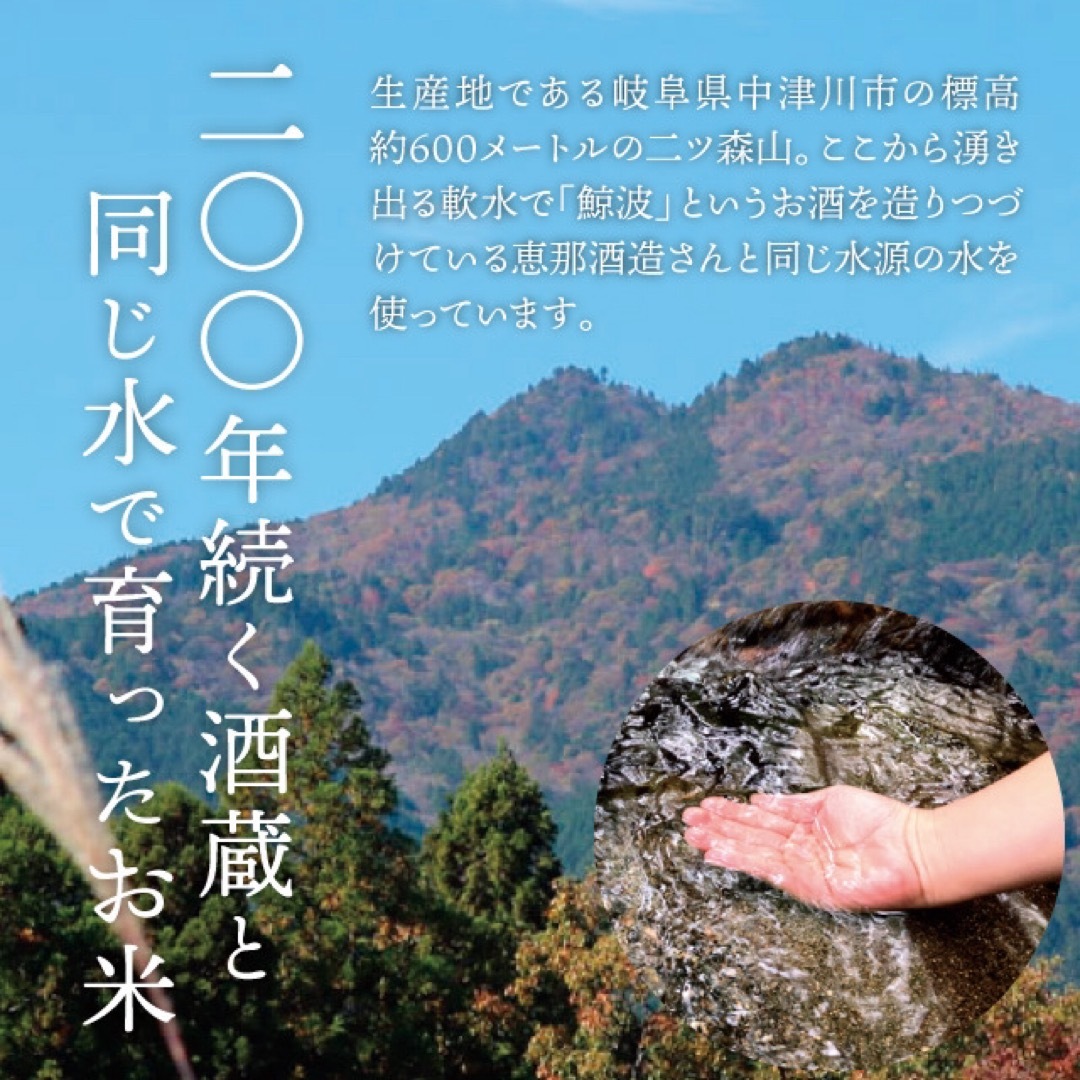 まずはお試しに！令和5年産✨一等米　希少コシヒカリ！　はちたか米✨　2kg 食品/飲料/酒の食品(米/穀物)の商品写真