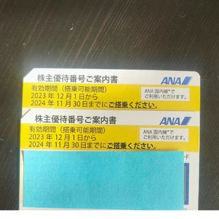 エーエヌエー(ゼンニッポンクウユ)(ANA(全日本空輸))のANA株主優待券  ２枚(ショッピング)