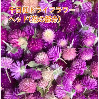 千日紅　ドライフラワー　花の部分　花材　ハーバリウムに(ドライフラワー)