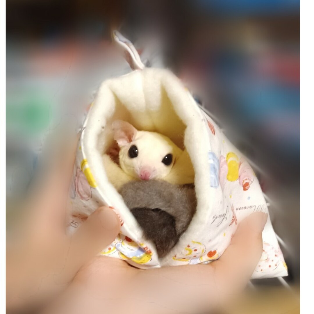 モモンガポーチ　テトラハウス　小動物用 ハンドメイドのペット(おもちゃ/ペット小物)の商品写真