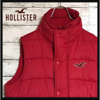 ホリスター(Hollister)の【あったか素材】ホリスター　刺繍ロゴベスト　中綿　C271R(ベスト)