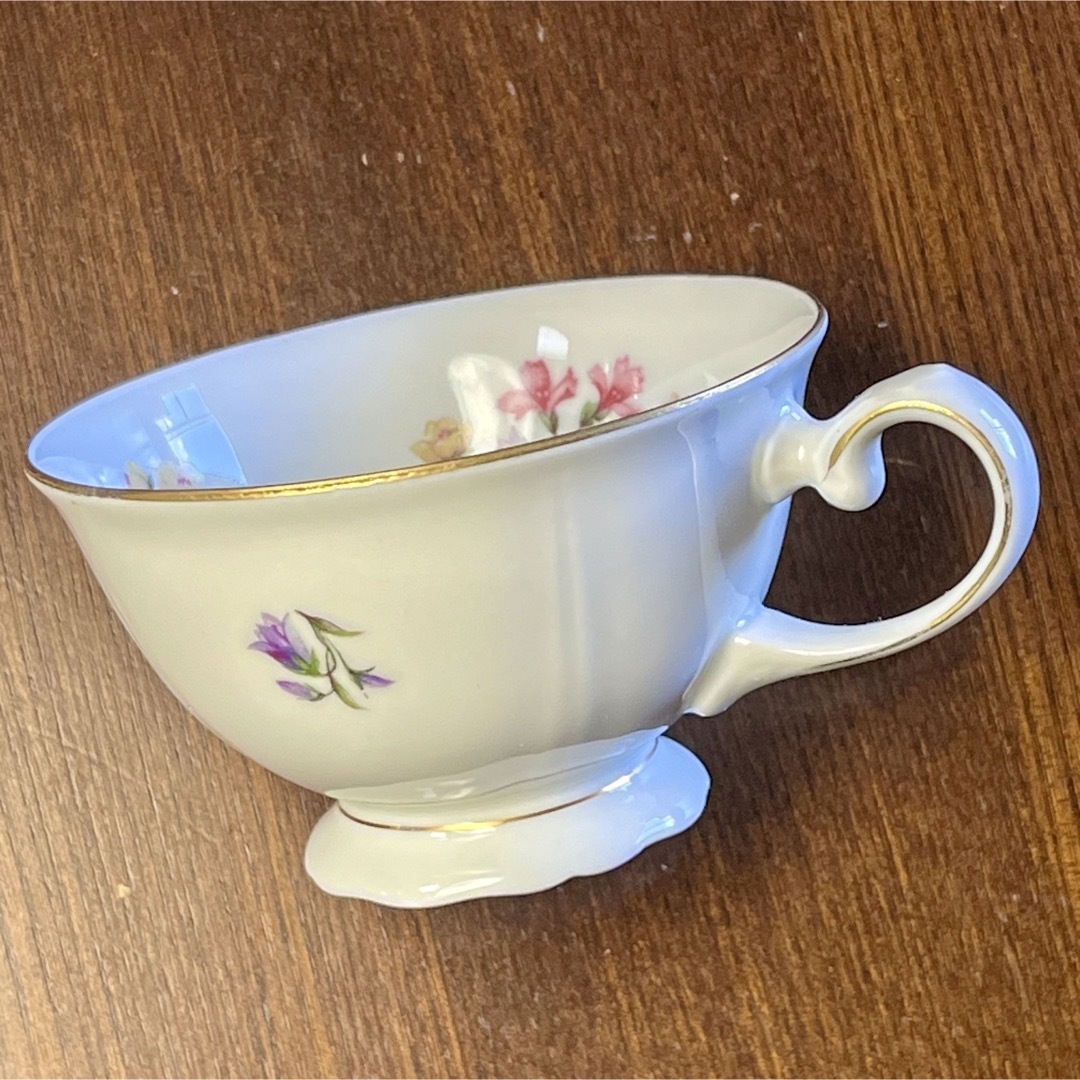 Rosenthal(ローゼンタール)のドイツ　ババリア  ライヒェンバッハ　カップソーサー     美品 インテリア/住まい/日用品のキッチン/食器(グラス/カップ)の商品写真