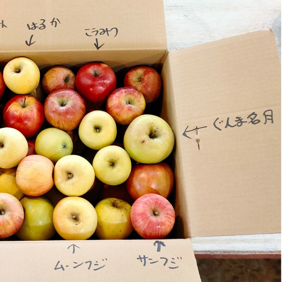 本州、四国宛配送限定　信州産　訳あり　りんごの宝石箱　約15キロ 食品/飲料/酒の食品(フルーツ)の商品写真