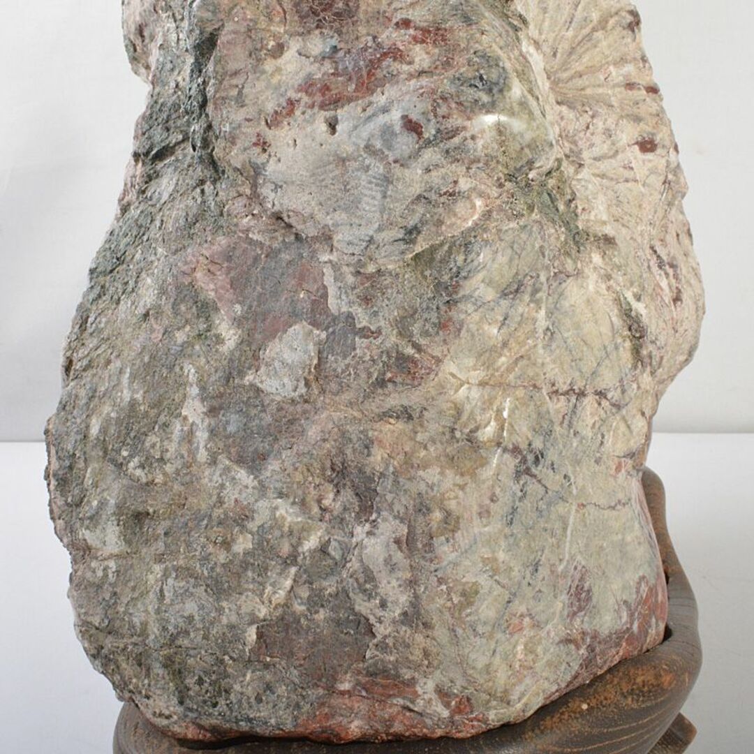 逆輸入 天然石 鑑賞石 菊花石 置物 重さ約24.8kg 唐木台付 F R6820F