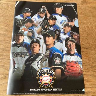 北海道日本ハムファイターズ - 【早い者勝ち】北海道日本ハム