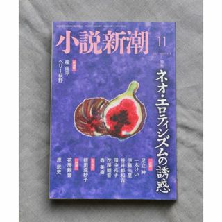 ☆小説新潮 2017年11月号 ～ネオ・エロティシズムの誘惑～(文芸)