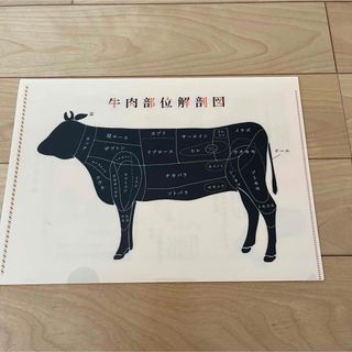 牛肉部位解剖図　ファイル(その他)