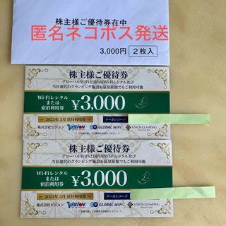 ビジョン　株主優待券 6,000円分(その他)