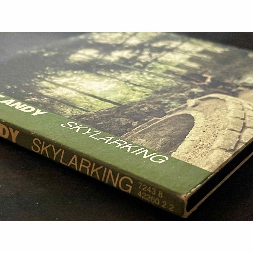 ホレス・アンディHorace Andy /Skylarking エンタメ/ホビーのCD(ワールドミュージック)の商品写真