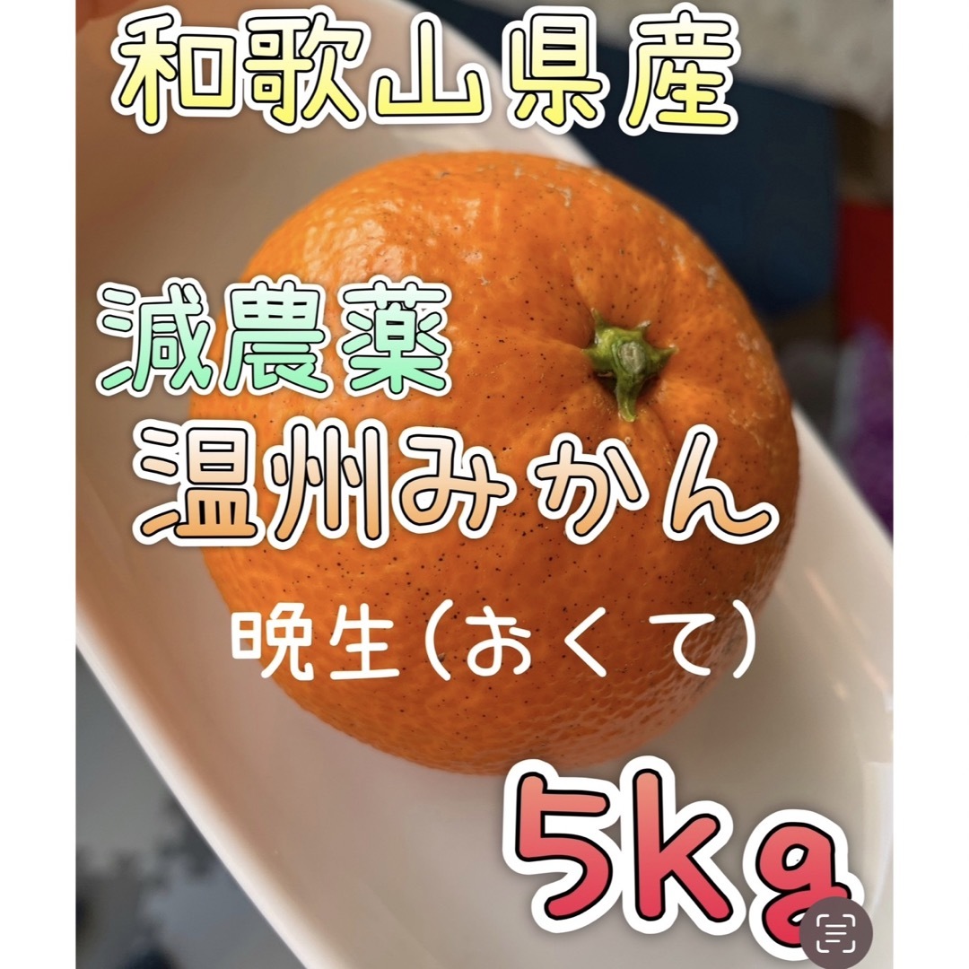 減農薬 晩生みかん【5kg】和歌山県産 食品/飲料/酒の食品(フルーツ)の商品写真