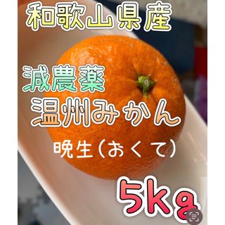 減農薬 晩生みかん【5kg】和歌山県産(フルーツ)