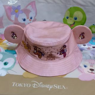 ディズニー(Disney)のディズニー　40周年　ドリームゴーラウンド　ハット　ピンク×オレンジミックス(キャラクターグッズ)