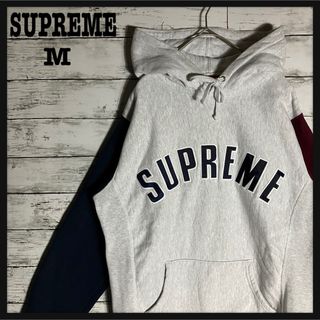 シュプリーム(Supreme)の【超人気デザイン】シュプリーム☆アーチロゴパーカー　マルチカラー　入手困難(パーカー)