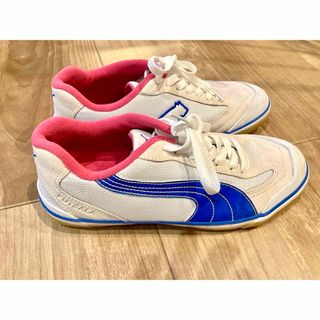 プーマ(PUMA)のPUMA 室内 体育館シューズ 24cm(スクールシューズ/上履き)