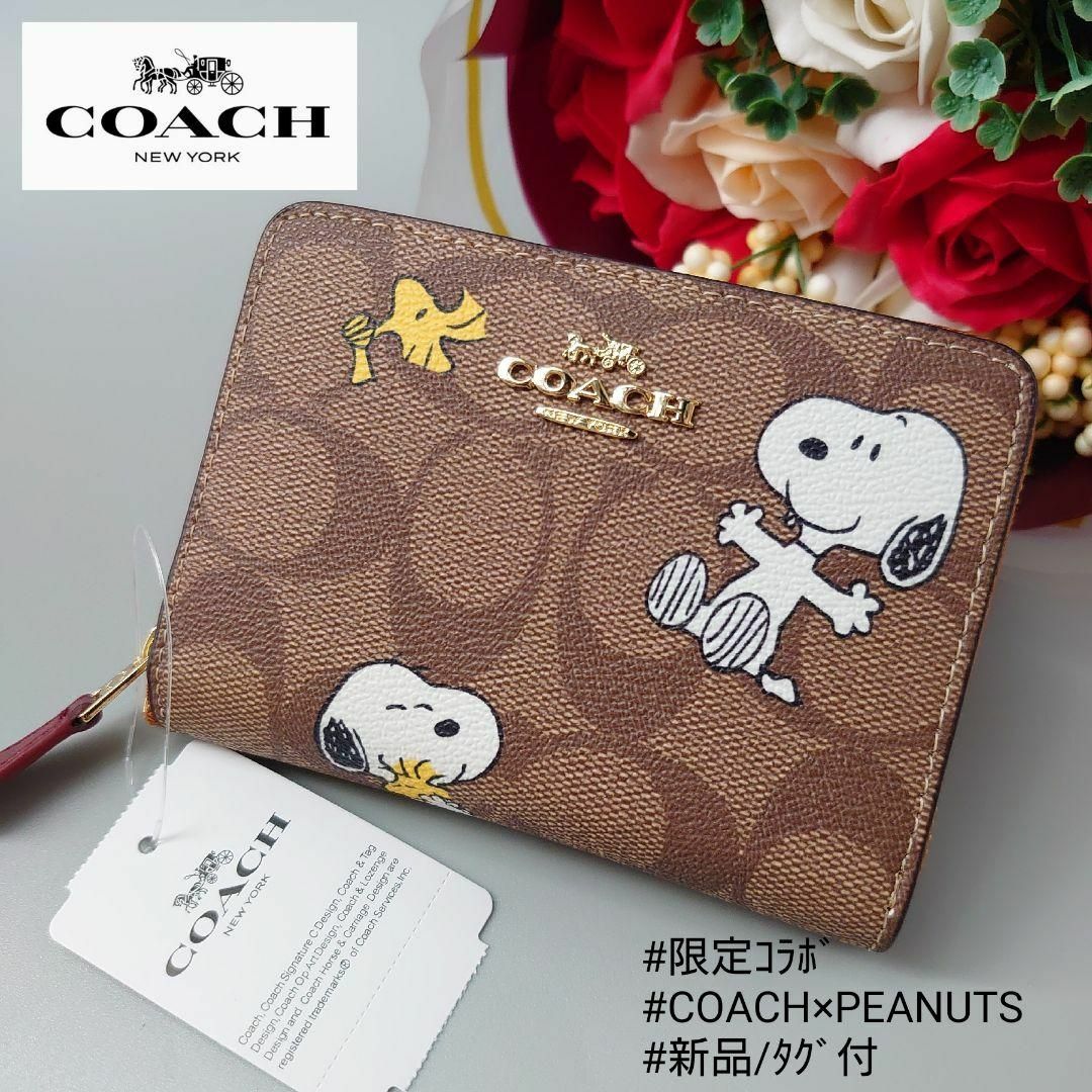 COACH - コーチ×ピーナッツ 財布 スモール ジップ ウォレット