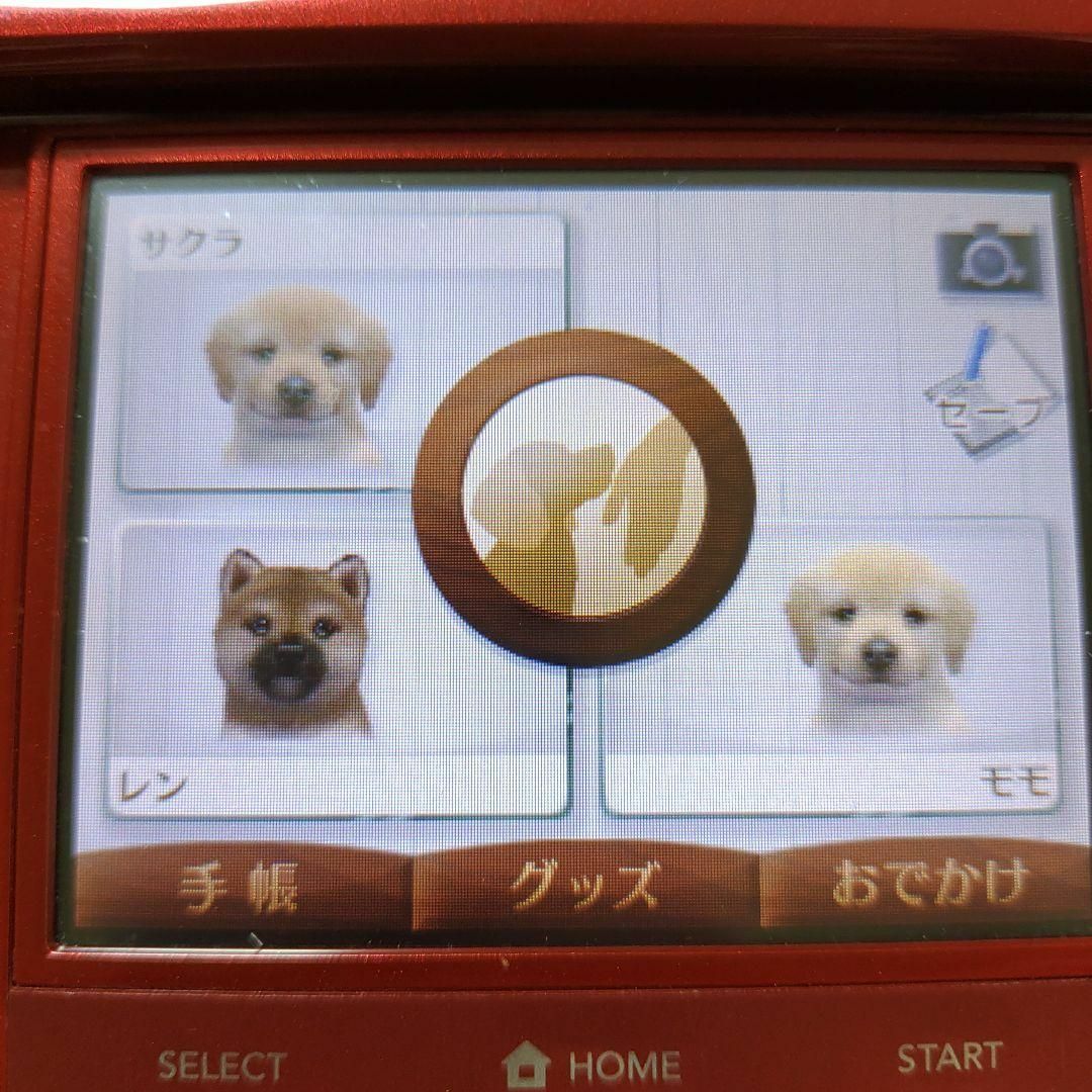 ニンテンドー3DS - nintendogs ＋ cats 柴＆Newフレンズの通販 by