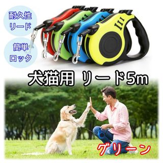 ＊新品＊ 犬猫用リード 自動ロープ収納 ５m 散歩 ペット用 グリーン(リード/首輪)