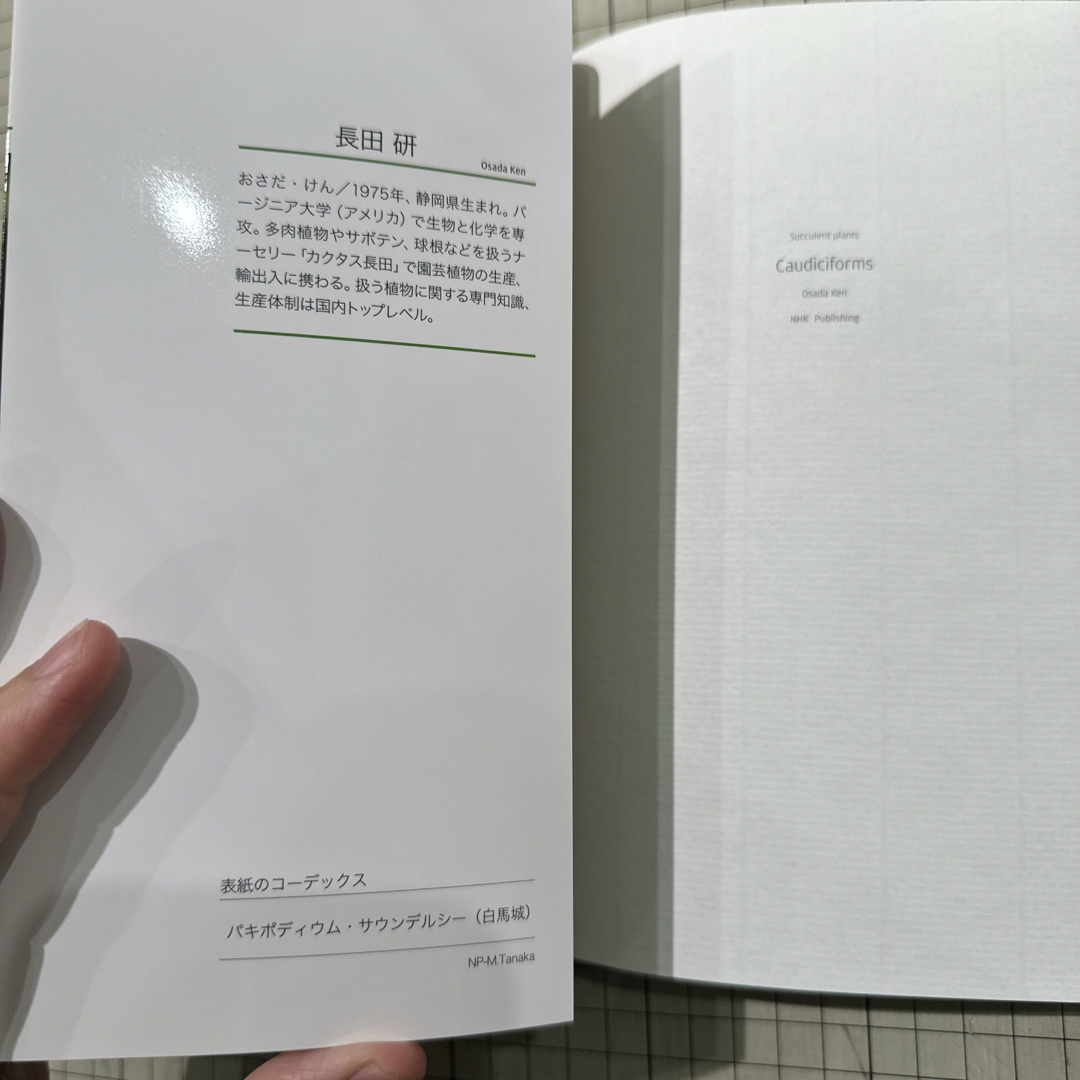 多肉植物コーデックス エンタメ/ホビーの本(趣味/スポーツ/実用)の商品写真