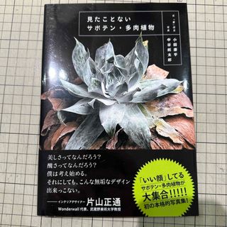 見たことないサボテン・多肉植物(趣味/スポーツ/実用)