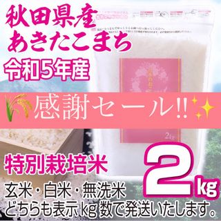 令和５年産 秋田県産 【特別栽培米】 あきたこまち2kg 無洗米も対応(米/穀物)