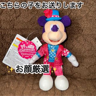 ミッキーマウス(ミッキーマウス)の新品☆お顔厳選☆東京ディズニーリゾート☆パルパルーザ☆ミッキー☆ぬいぐるみバッジ(キャラクターグッズ)