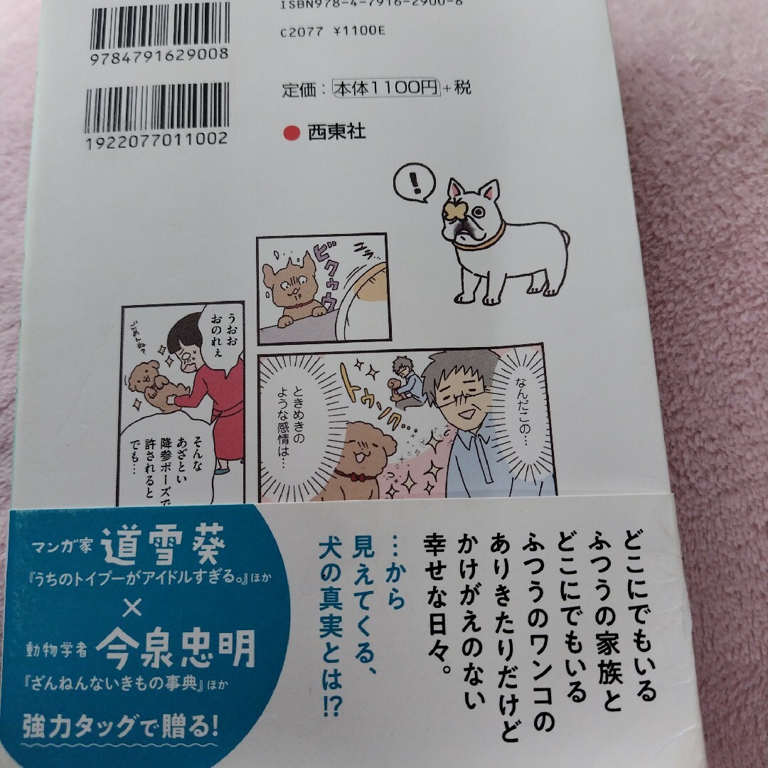 いぬほん 犬のほんねがわかる本 エンタメ/ホビーの本(その他)の商品写真