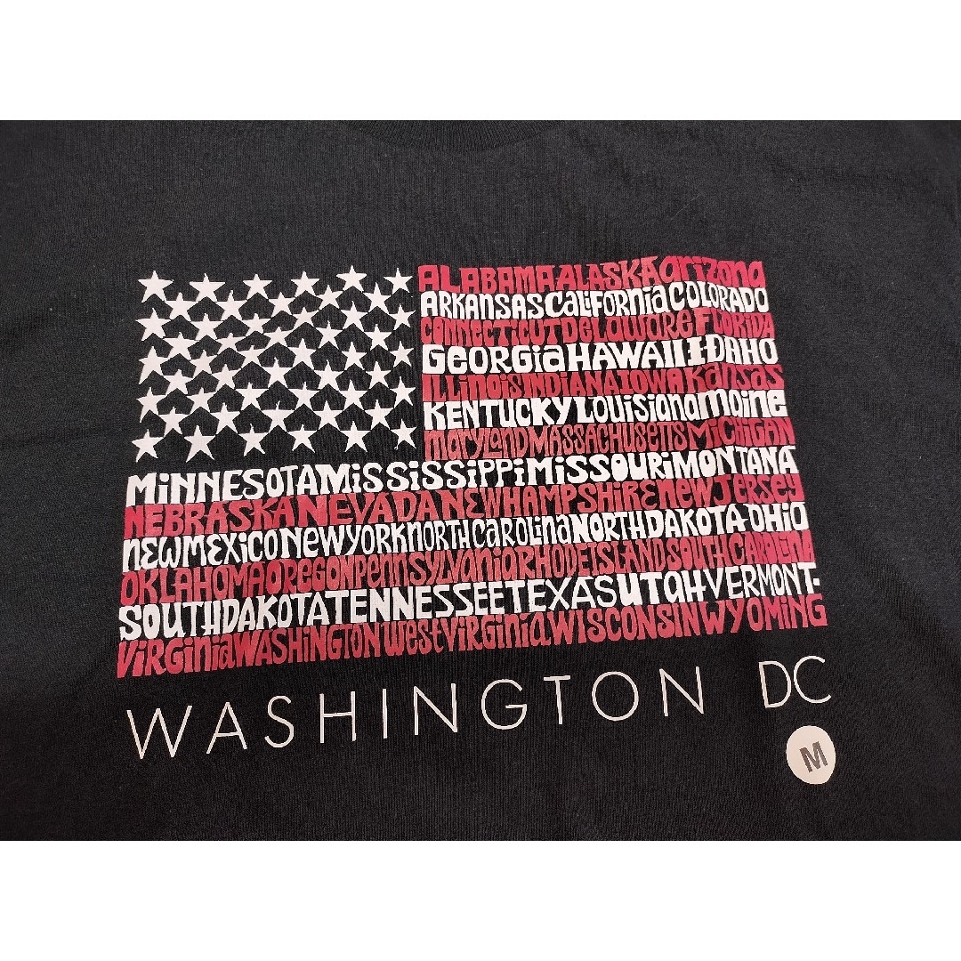 ビンテージ  GILDAN  Mサイズ　アメリカ国旗 州 ワードアートTシャツ メンズのトップス(Tシャツ/カットソー(半袖/袖なし))の商品写真