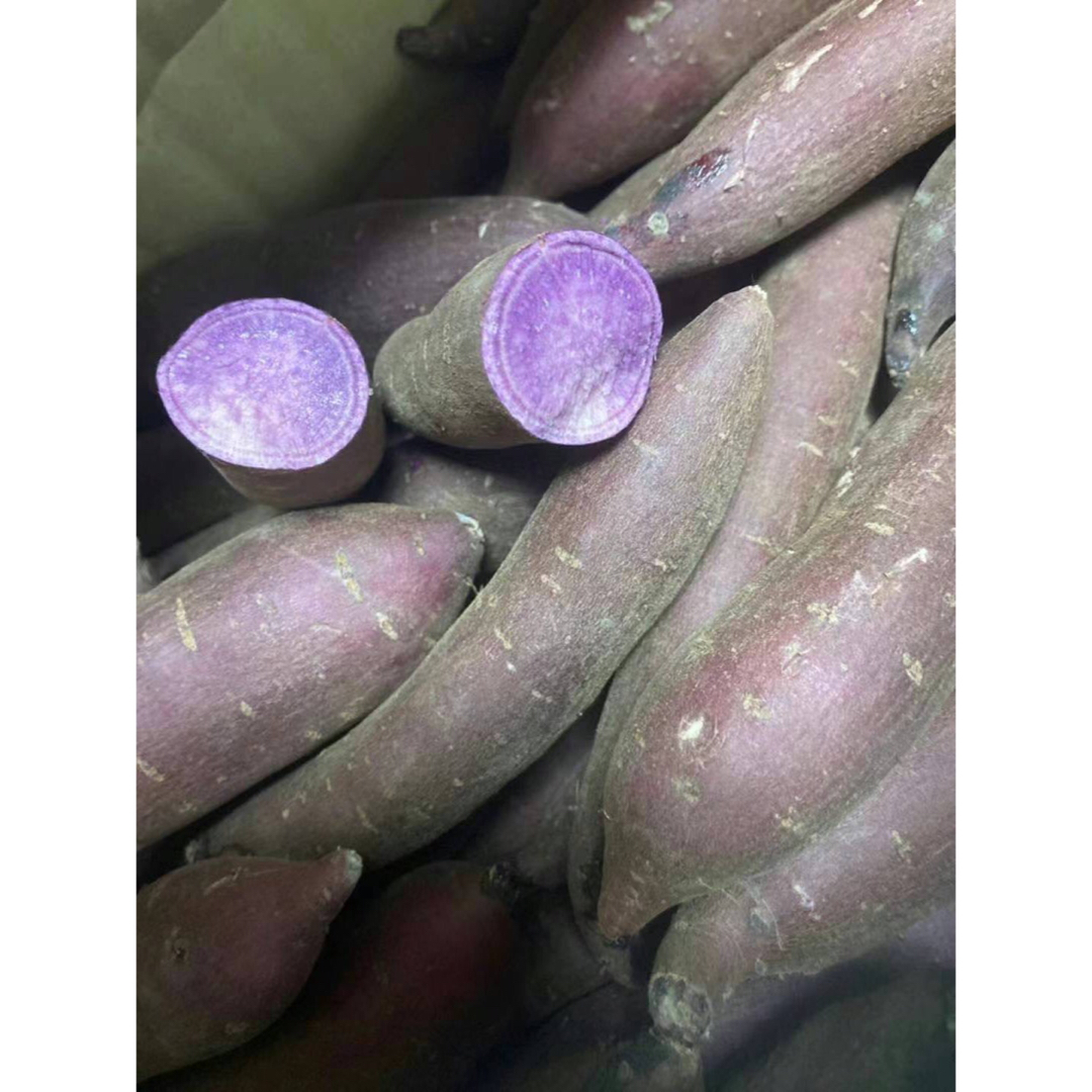 310.茨城県産　紫芋　ふくむらさきいも　箱込み1.3kg 食品/飲料/酒の食品(野菜)の商品写真