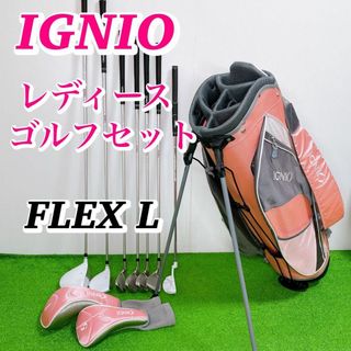 イグニオ(Ignio)の美品 初心者推奨 IGNIO イグニオ レディースゴルフクラブセット 優しい L(クラブ)