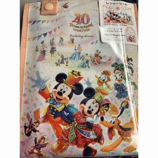 Disney - アメリカで購入したディズニー アラジン織物ジャスミン姫
